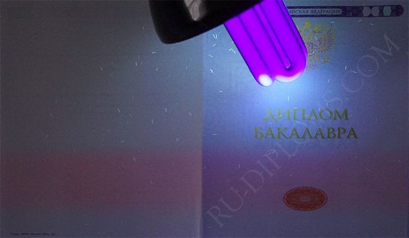 Диплом бакалавра 2014-2026 НОВОГО ОБРАЗЦА Москва